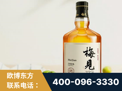 长沙-梅见青梅酒